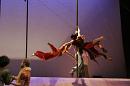 vertige du papillon 037 * 3504 x 2336 * (4.19MB)
